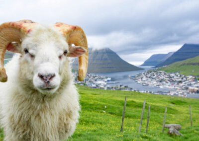 Ausblick auf die "Schafsinseln"