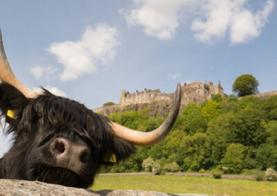 Blick auf Stirling Castle