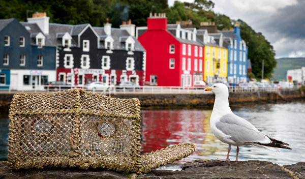 Im Hafen von Tobermory - Isle of Mull
