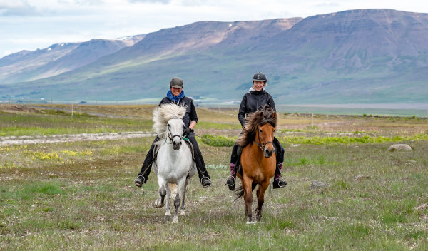 Ausritt im Skagafjörður
