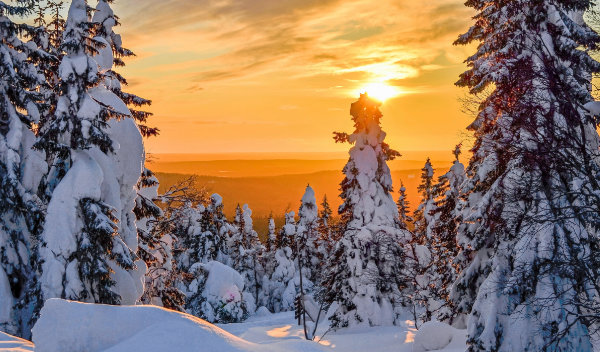 Lappland - Winterwunderland