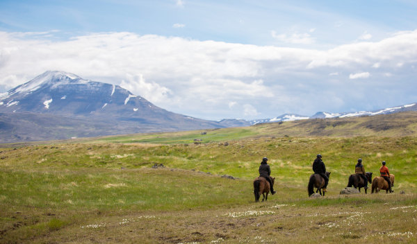 Reiten im Skagafjörður